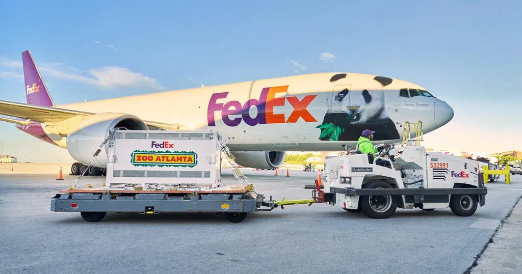 Two giant pandas land in Atlanta on a 16-hour FedEx flight